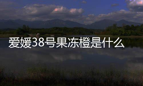号果候成是什熟爱媛么时冻橙